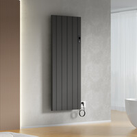 Elektrische Radiator BWS Boss 2.0 Met Wifi 2000W 160x60.8 cm Mat Zwart