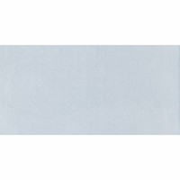 Vloertegel Icon Grey 60X120 (prijs per m2)