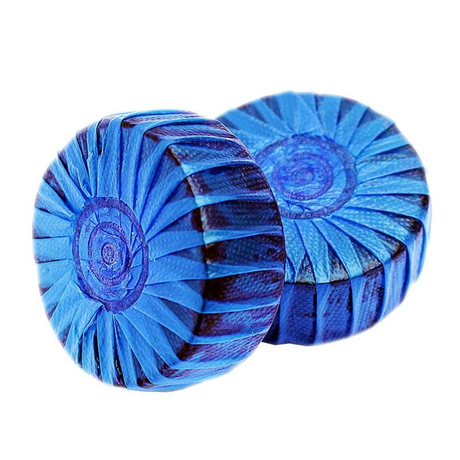 Fresh Toiletblokjes (12 stuks) 5 maanden verpakking