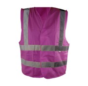 Arbowinkel Veiligheidshesje raspberry