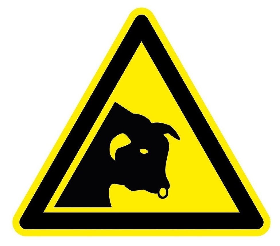 stier waarschuwingspictogram - 100 mm breed - Kunststof bord