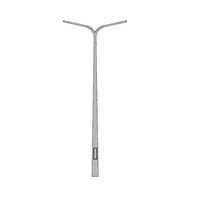 10,0m - verzinkte stalen conische lantaarnpaal-lichtmast met dubbele uithouder, lichtpunt hoogte 10,0m, topmaat 60mm
