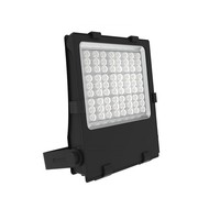 Havasu 200-240W Multiwattage Projector LED straatverlichting, 30000-36000 lumen, 5000K met uitwisselbare optieken