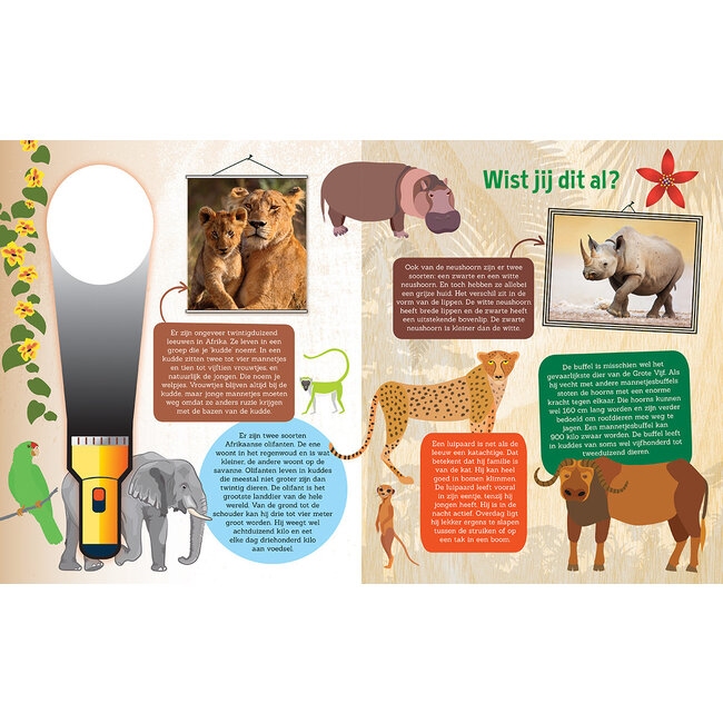 Zaklampboek - Speuren naar wilde dieren