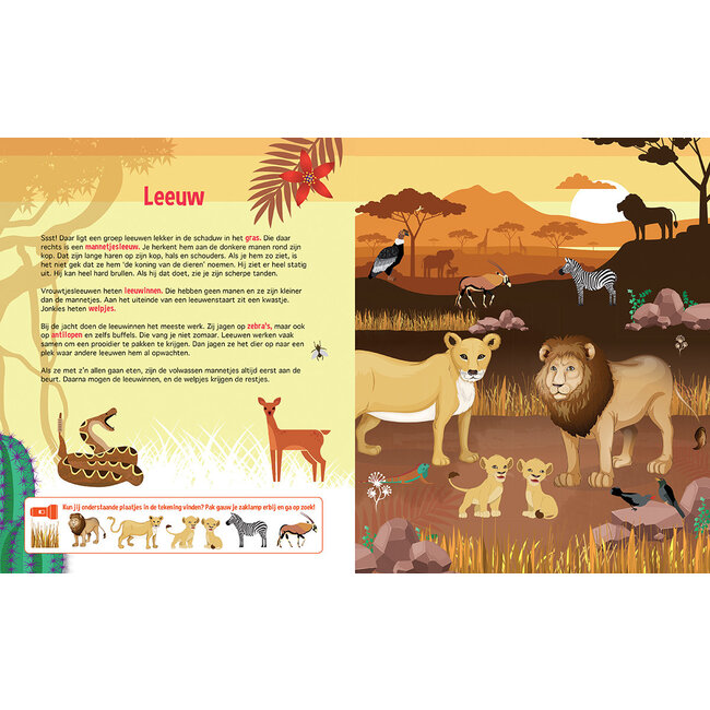 Zaklampboek - Speuren naar wilde dieren