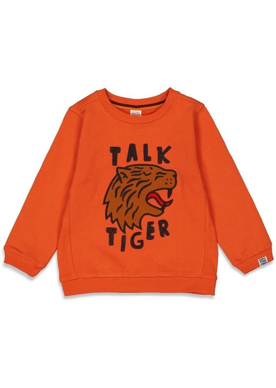 Sturdy Sturdy sweater Talking Tiger brique