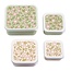 A little lovely company Lunch & snackbox Bloesems