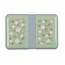A little lovely company  Lunchbox Bloesems Saliegroen