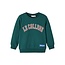 Name-it Name-it sweater NMMRafay sea moss