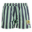 Retour Retour short Pele streep mint groen