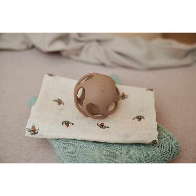 Jollein bijtring bal siliconen Biscuit