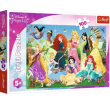Trefl Puzzel Charming Princesses 100 stukjes