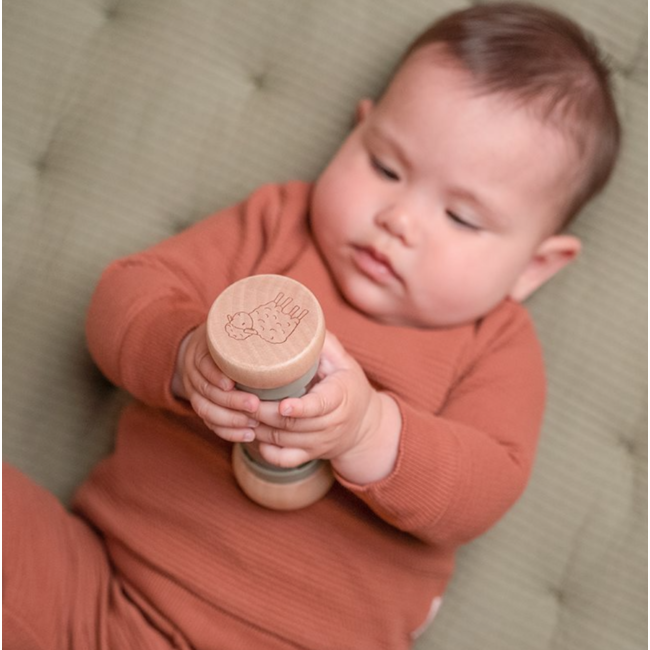 Little Dutch regenrammelaar Little Farm FSC