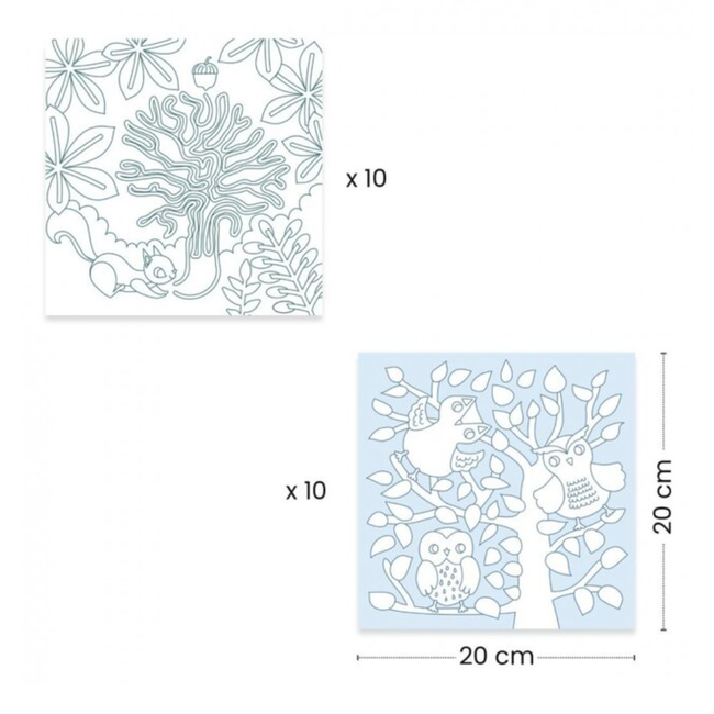dj00052 Kleuren Forest