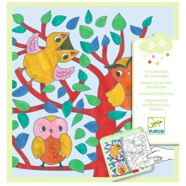 dj00052 Kleuren Forest