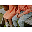 Daily7 Daily7 jeans ruby mom fit flower light denim