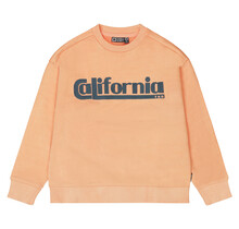 Tumble 'n Dry sweater  Golden state coral reef