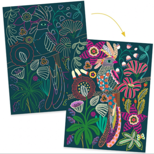 dj09709 Kraskaarten Rococo