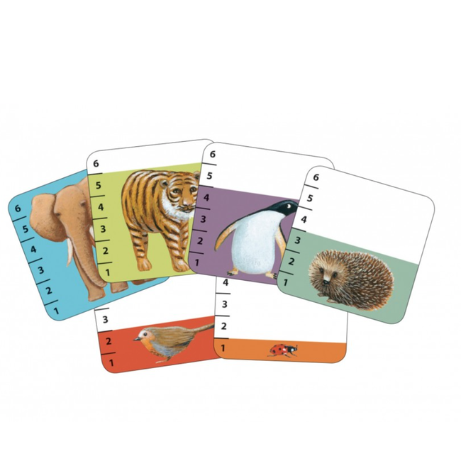 dj05177 Kaartspel Batanimo