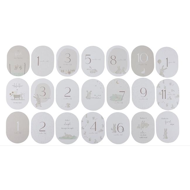 Little Dutch mijlpaal kaarten ' Mijn eerste jaar' Baby bunny FSC