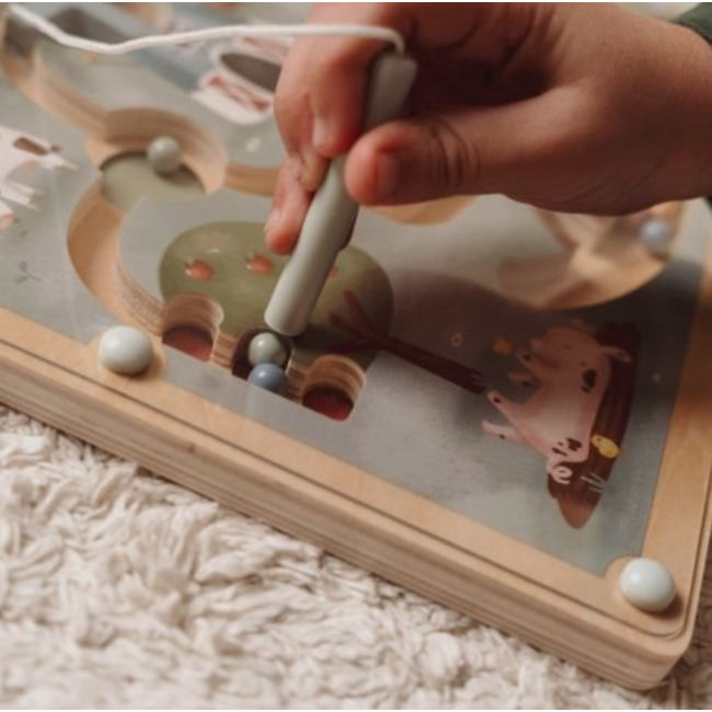 Little Dutch magnetisch doolhof Little farm