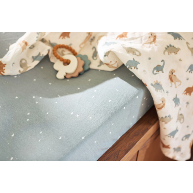 Jollein hydrofiel 115x115cm ( 2 pack )  Roarsome