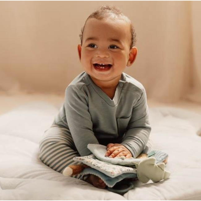 Little Dutch Buggyboekje Forest friends