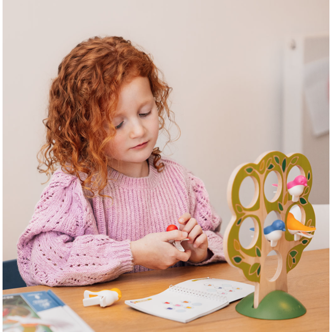 SmartGames 5 Little Birds