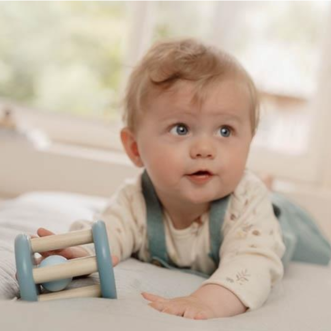 Little Dutch Rammelaar roller Forest friends