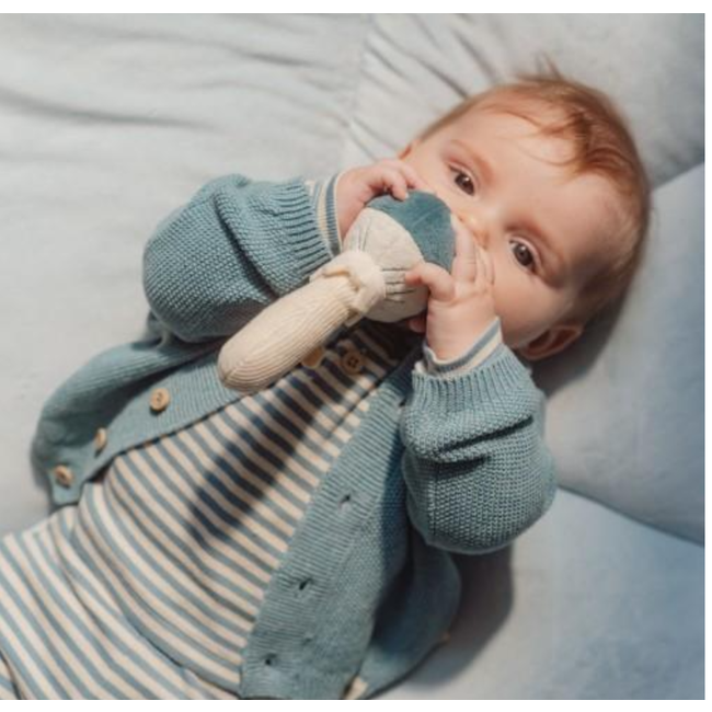 Little Dutch Rammelaar paddestoel Forest friends