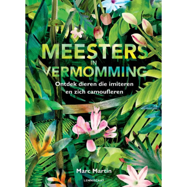 Meester in vermomming 7+