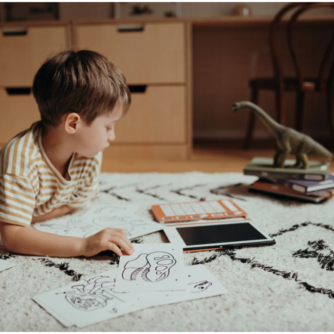 Kidywolf Kidydraw mini Tekenblok Dinosaurussen