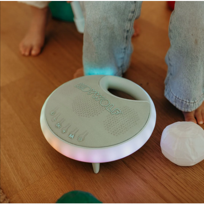 Kidywolf Kidykaraoke luidspreker met 2 microfoons