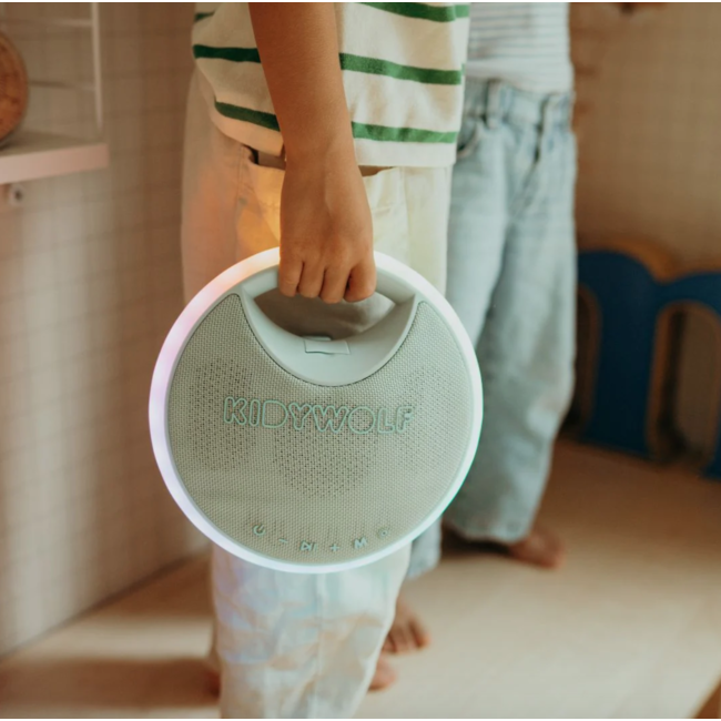 Kidywolf Kidykaraoke luidspreker met 2 microfoons