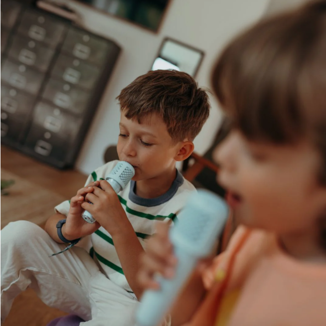 Kidywolf Kidykaraoke luidspreker met 2 microfoons