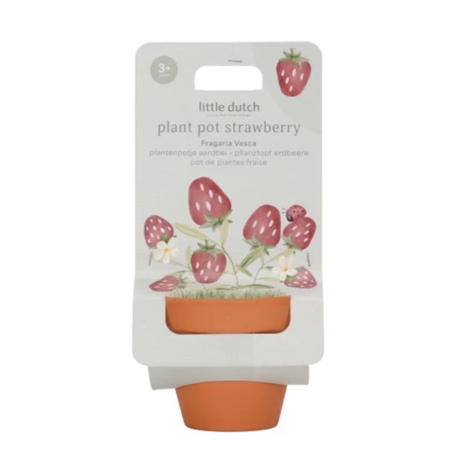 Little Dutch plantenpotje Aardbei