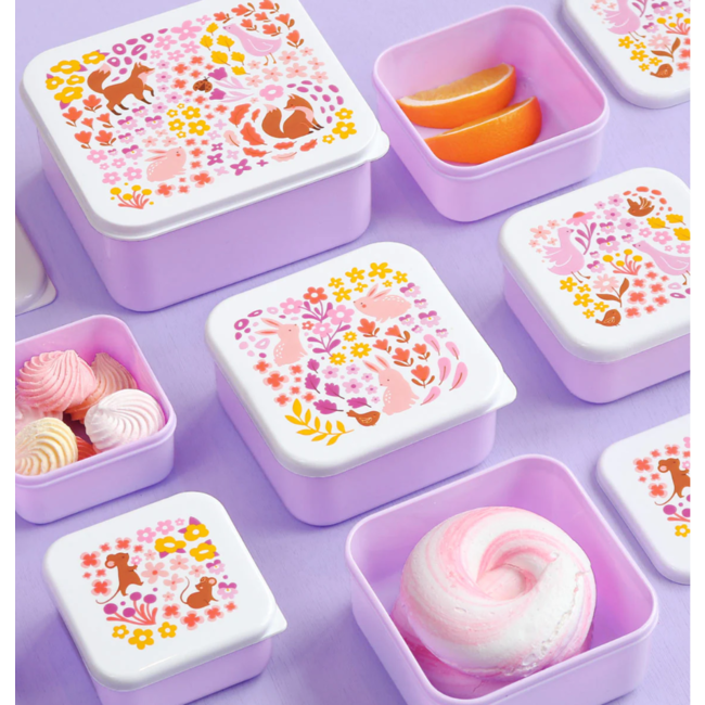 ALLC Lunch en Snackbox Bloementuin