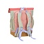 Lassig Lassig Mini Rolltop backpack Sunny explorer Roze/Pink
