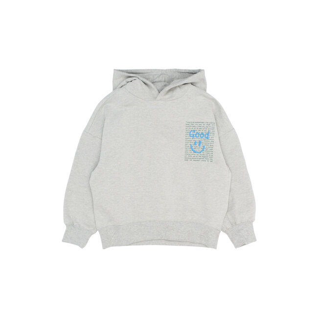 Hoodie Patrick light grey melange