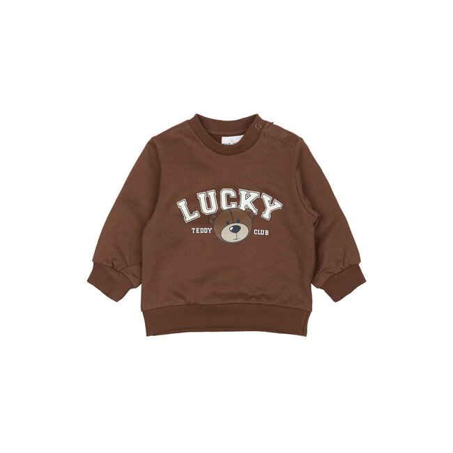 Sweatshirt Perseus pinecone