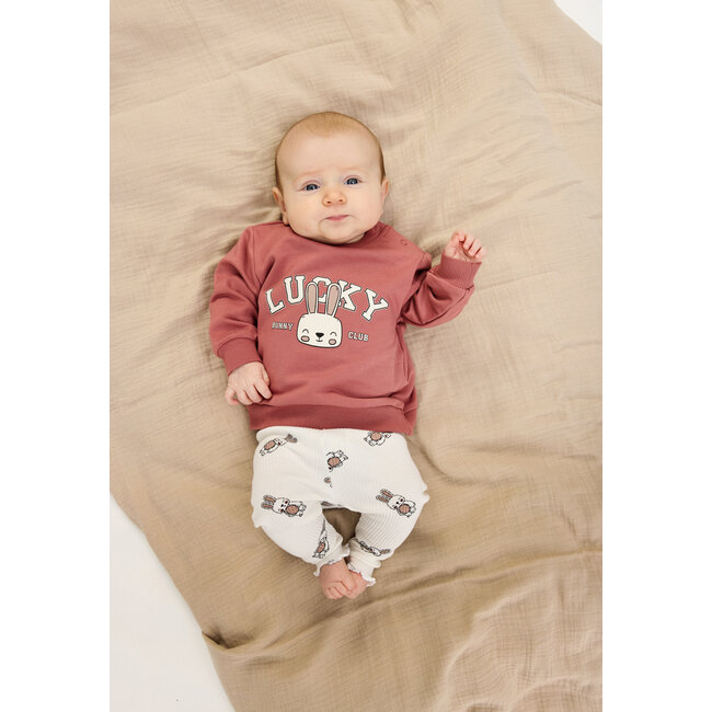 Sweatshirt Pheba withered rose