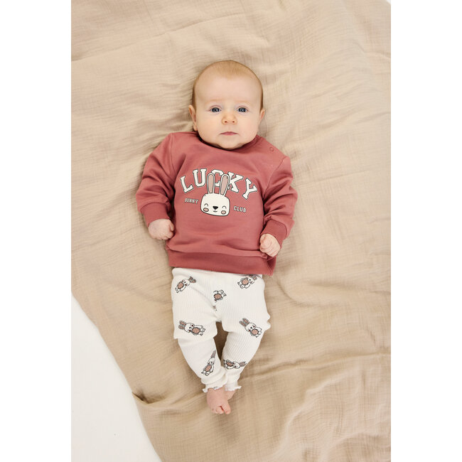 Sweatshirt Pheba withered rose