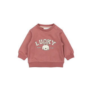 The New Siblings Sweatshirt Pheba withered rose