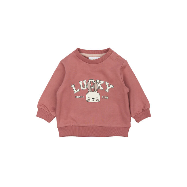 Sweatshirt Pheba withered rose