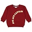 Sweater - Waves and Whales  bordeaux