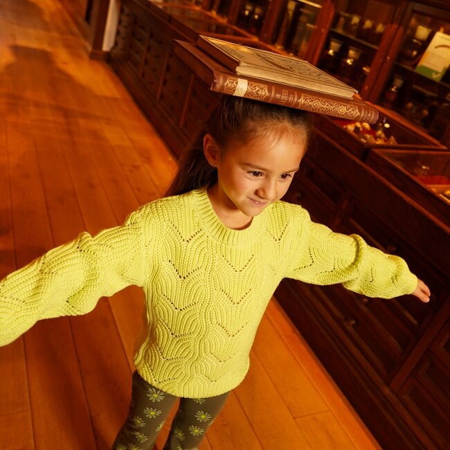 Sweater dropped shoulder lime