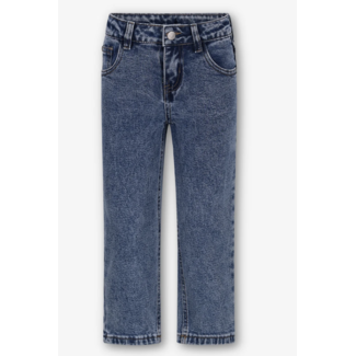 The New Chapter Jeans Riley denim