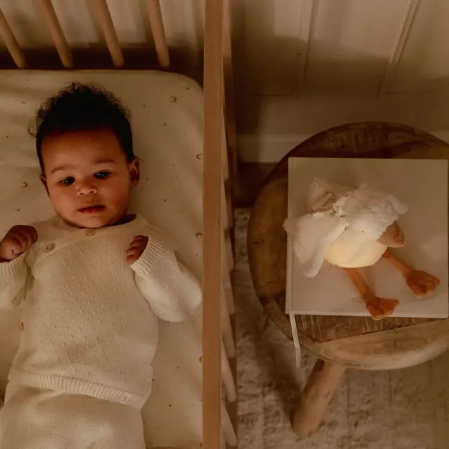 Knuffelgans Licht & Geluid