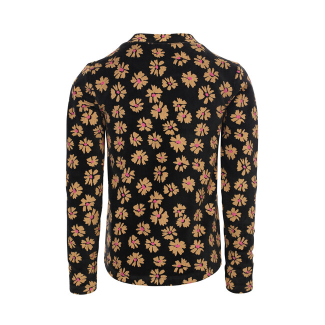 Little velvet top soft winterflower