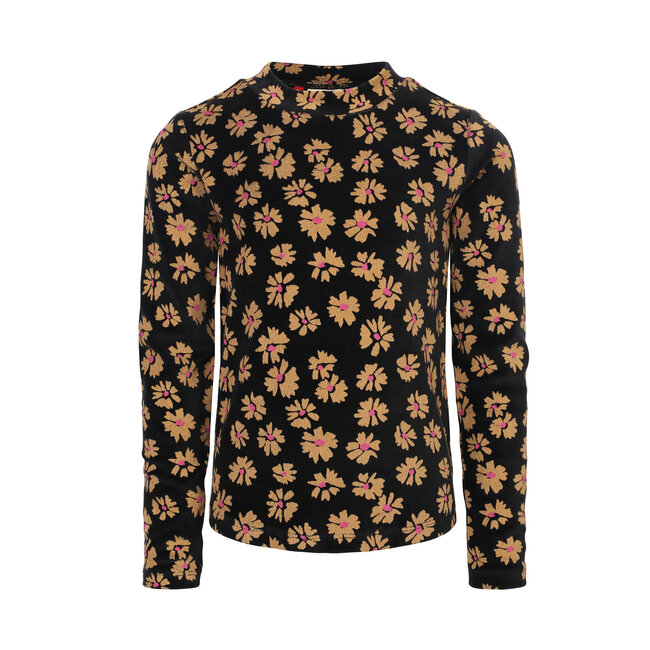 Little velvet top soft winterflower